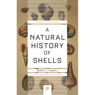 A Natural History of Shells