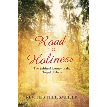 Road to Holiness: The Spiritual Journey in the Gospel of John