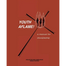 Youth Aflame!: A Manual For Discipleship