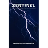 Sentinel: Become the Agent in Charge of Your Own Protection Detail