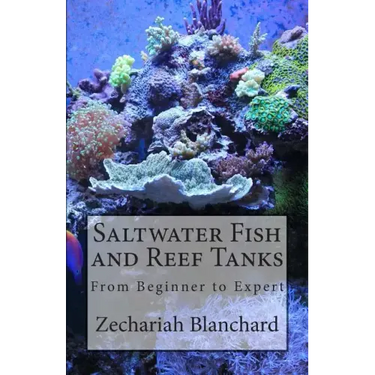 Saltwater Fish and Reef Tanks: From Beginner to Expert