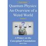 Quantum Physics - An Overview of a Weird World: A primer on the conceptual foundations