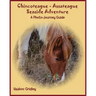 Chincoteague-Assateague Seaside Adventure: A Photo-Journey Guide