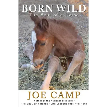 Born Wild - The Soul of a Horse