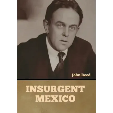 Insurgent Mexico