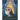 The Christmas Owl: Based on the True Story of a Little Owl Named Rockefeller