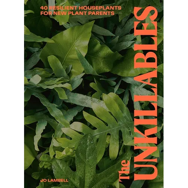 The Unkillables: 40 Resilient House Plants for New Plant Parents