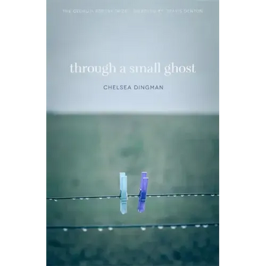 Through a Small Ghost: Poems