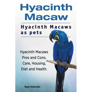 Hyacinth Macaw. Hyacinth Macaws as pets. Hyacinth Macaws Pros and Cons, Care, Housing, Diet and Health.