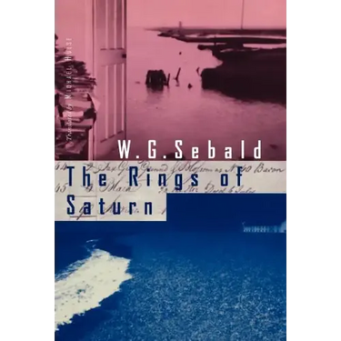 The Rings of Saturn