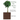 Growing The Money Tree: Financial Freedom One Leaf At A Time