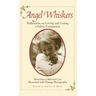 Angel Whiskers: Reflections on Loving and Losing a Feline Companion