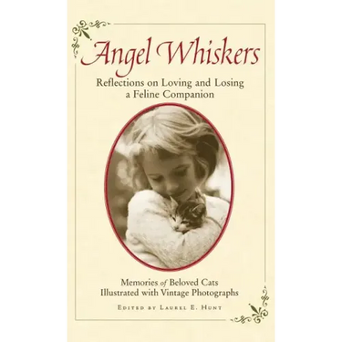 Angel Whiskers: Reflections on Loving and Losing a Feline Companion