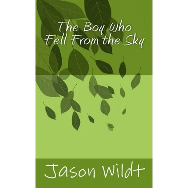 The Boy Who Fell From the Sky