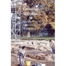 Littlecote, Wiltshire: Archaeological Excavations in the Park
