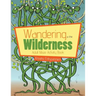 Wandering in the Wilderness: Adult Maze Activity Book