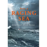 Into a Raging Sea: Great South African Rescues