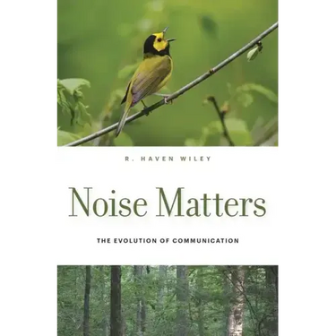 Noise Matters