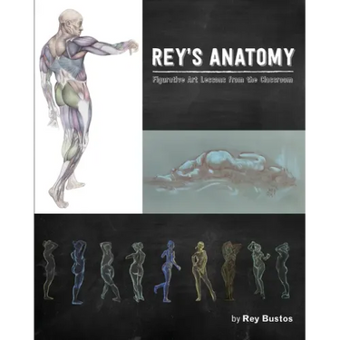 Rey's Anatomy: Figurative Art Lessons from the Classroom