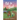 Not so Bad: A small-town coming-home story