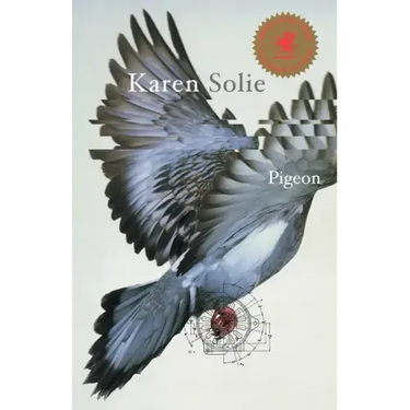 Pigeon
