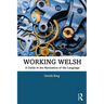 Working Welsh: A Guide to the Mechanics of the Language