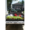Southbound Gardens: One: Food growing know how for the Urban South