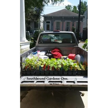 Southbound Gardens: One: Food growing know how for the Urban South