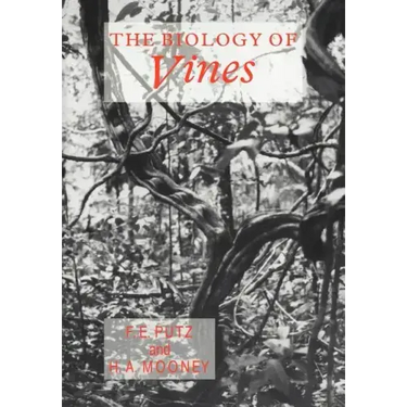 The Biology of Vines