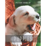 Picture Book of Puppies: for Alzheimer's Patients and Seniors with Dementia.