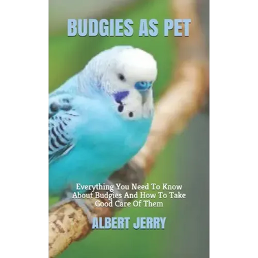 Budgies as Pet: Everything You Need To Know About Budgies And How To Take Good Care Of Them