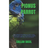 Pionus Parrot: Every detailed information you need to know about the pionus parrot. Their behaviors, feeding and reasons while they make amazing pet