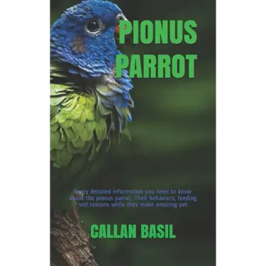 Pionus Parrot: Every detailed information you need to know about the pionus parrot. Their behaviors, feeding and reasons while they make amazing pet