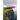 Toward