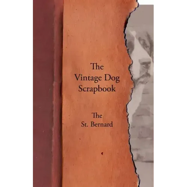 The Vintage Dog Scrapbook - The St. Bernard