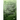 Plant Foods and Underutilized Fruits as Source of Functional Food Ingredients: Chemical Composition, Quality Traits, and Biological Properties
