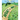 What the Road Said