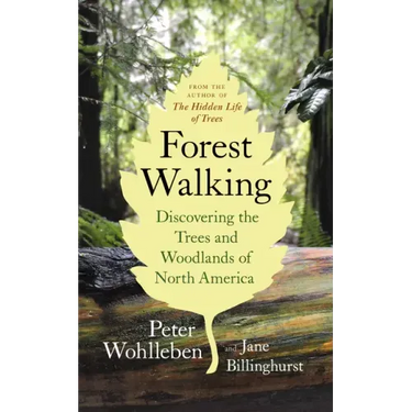 Forest Walking: Discovering the Trees and Woodlands of North America