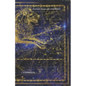 Password Keeper: Leo Constellation