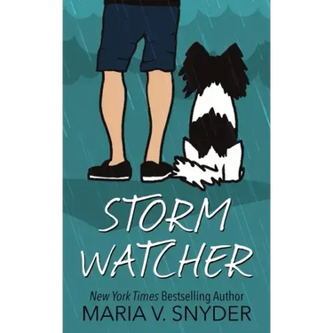 Storm Watcher