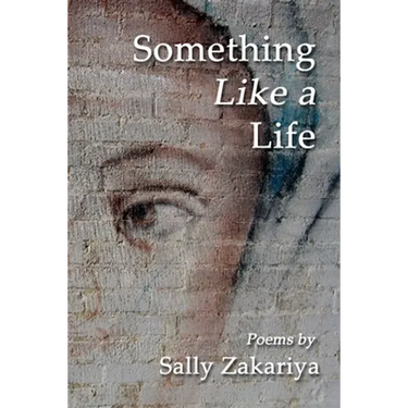 Something Like a Life