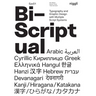 Bi-Scriptual: Typography and Graphic Design with Multiple Script Systems