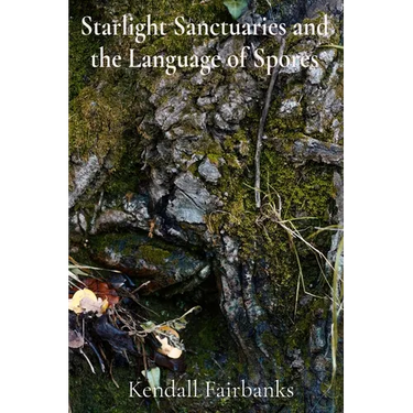 Starlight Sanctuaries and the Language of Spores: Deciphering the Secrets of Mycelial Networks and Fungal Folklore