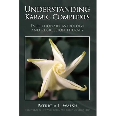 Understanding Karmic Complexes