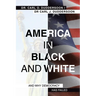 America in Black and White: And Why Democracy Has Failed