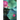 The Disappeared