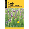 Prairie Wildflowers