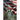 Forgotten Forbidden America: Rise of Tyranny