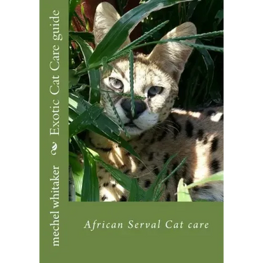Exotic Cat Care guide: African Serval Cat care