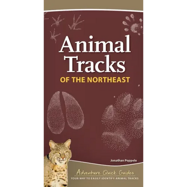 Animal Tracks of the Northeast: Your Way to Easily Identify Animal Tracks